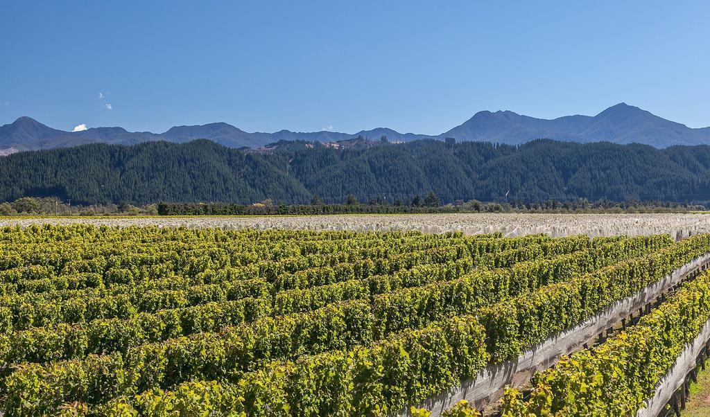 Straw Lodge Vineyard&Boutique Lodging Renwick Chambre photo