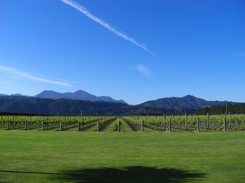 Straw Lodge Vineyard&Boutique Lodging Renwick Extérieur photo