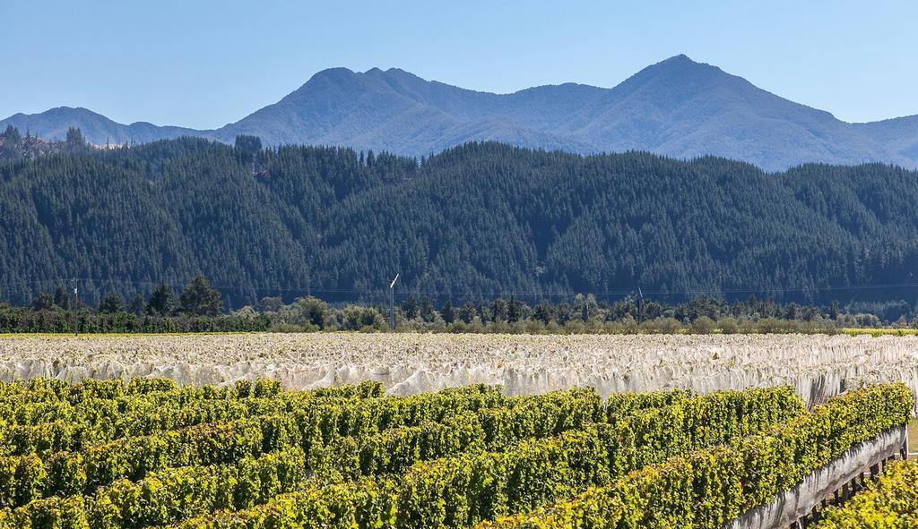 Straw Lodge Vineyard&Boutique Lodging Renwick Extérieur photo